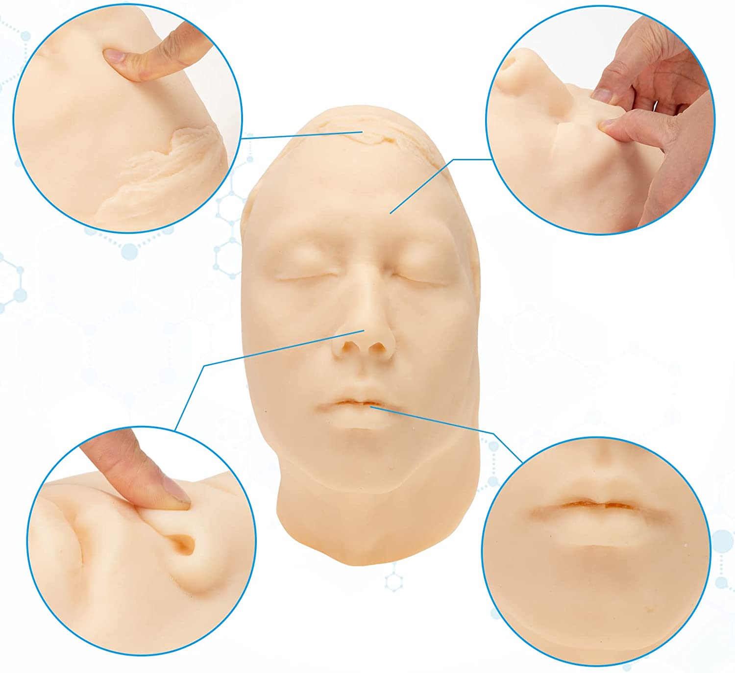 RONTEN Injection Training Silicone Human Face Model Life-Size Head And Face Injection Model With Bones Inside
